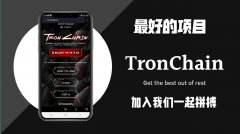 波场生态和波场链哪一个更长久